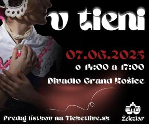 Divadlo Grant Košice - V tieni 1